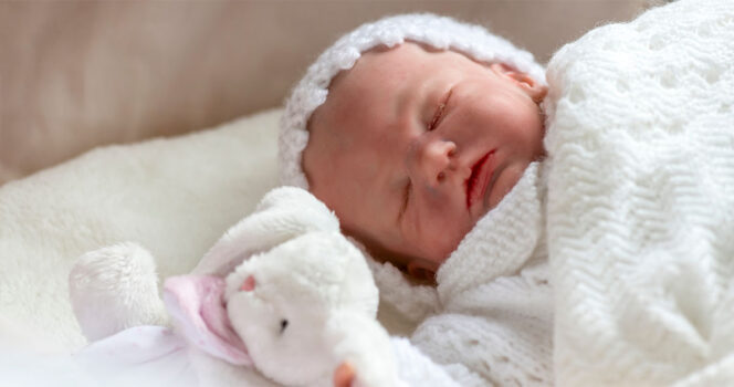 Docka. Foto: Shutterstock