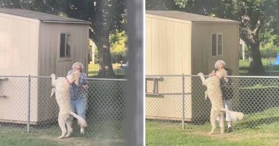 Edna och hunden Honey var grannar och bästa vänner. Foto: Tiktok