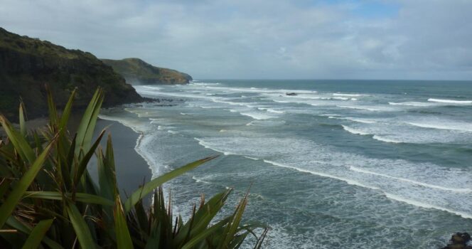 Muriwai Beach