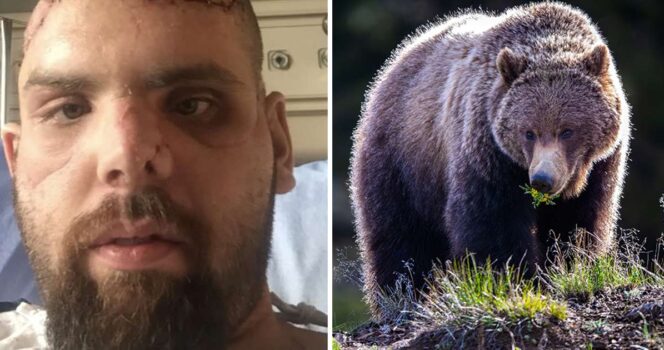 Jeremy Evans blev attackerad av en björn.