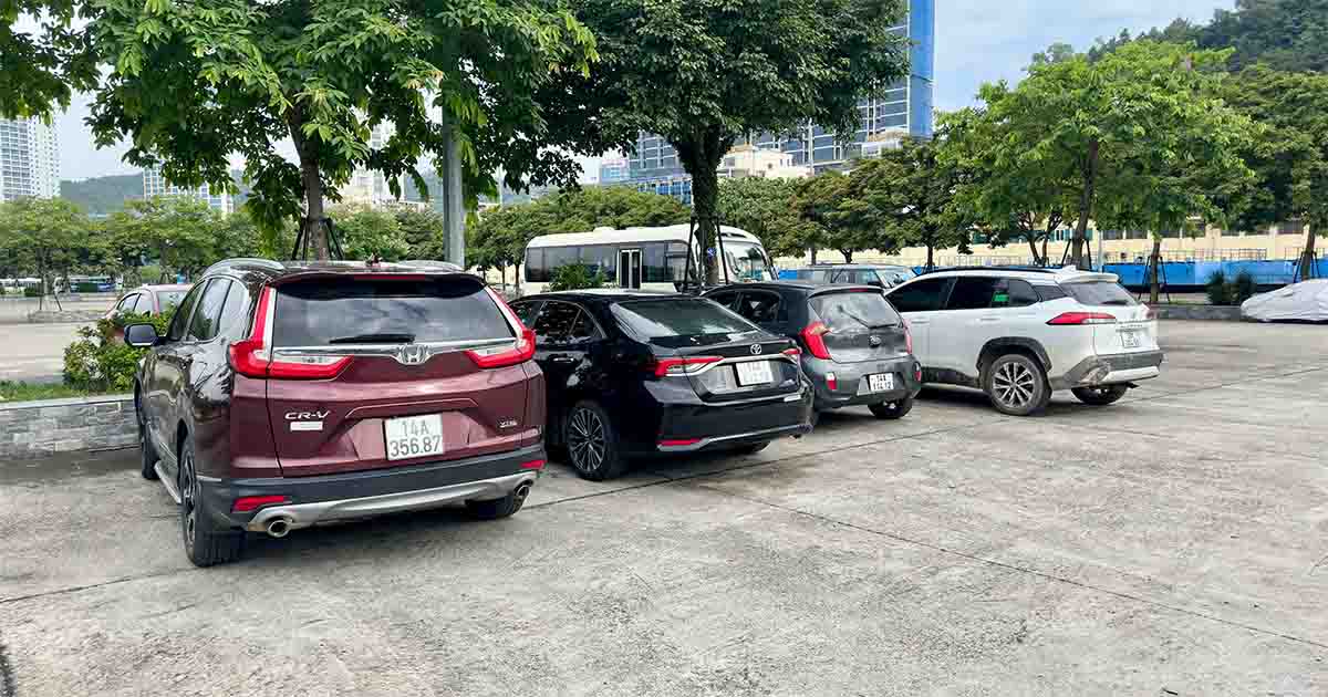 Bilar på en parkering. Foto: Shutterstock