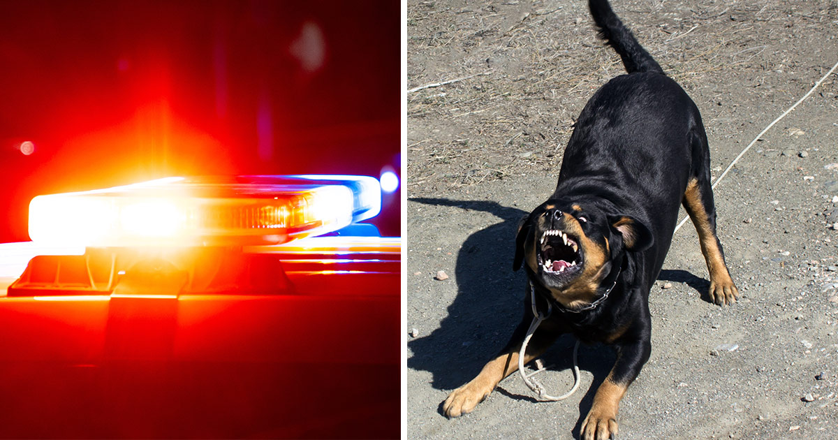 Kaimir Jones blev dödad av hundar.