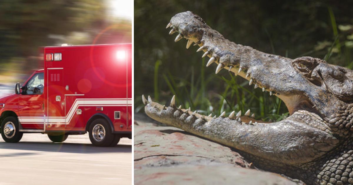 Ambulans och krokodil