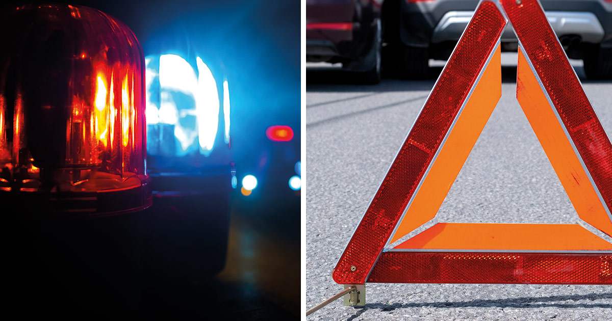 Bästa vännerna dog hand i hand