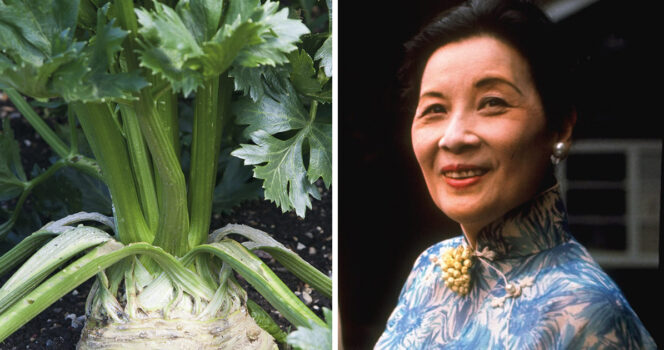 Selleri och Madame Chiang.