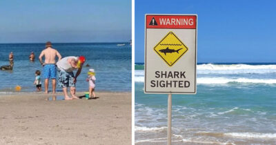 Ett familjefoto väckte frågor kring huruvida en haj lurade i bakgrunden eller ej.