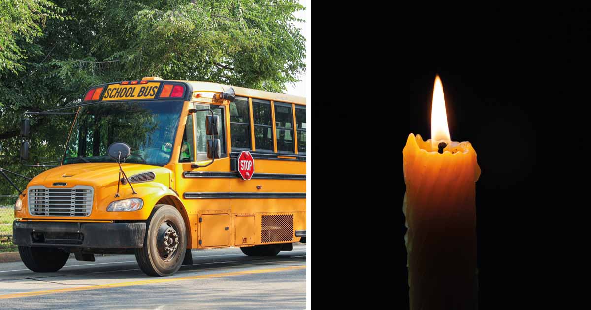 Skolbuss. Foto: Shutterstock