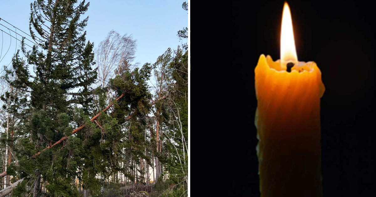 Nedblåsta träd över elledningar orsakar fortsatta strömavbrott i spåren av stormen Johannes som drog in över norra och mellersta Sverige med starka vindar i helgen. Bild från lördagen.