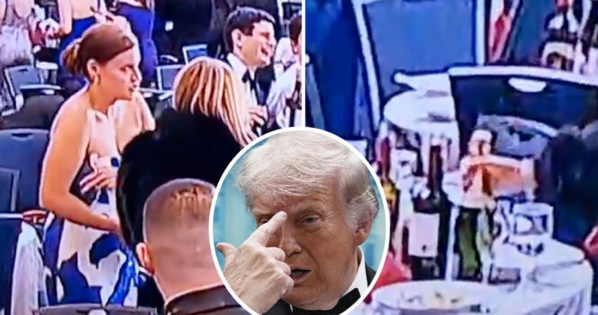 Donald Trump. Foto: X & Jose Luis Magana /AP/TT