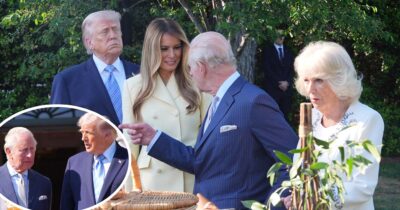 Donald Trump och kung Charles. Foto: Alex Brandon/AP/TT