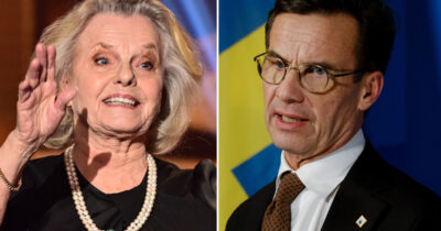 Marie Göranzon är inte nöjd med landets politiker