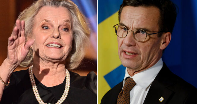 Marie Göranzon är inte nöjd med landets politiker