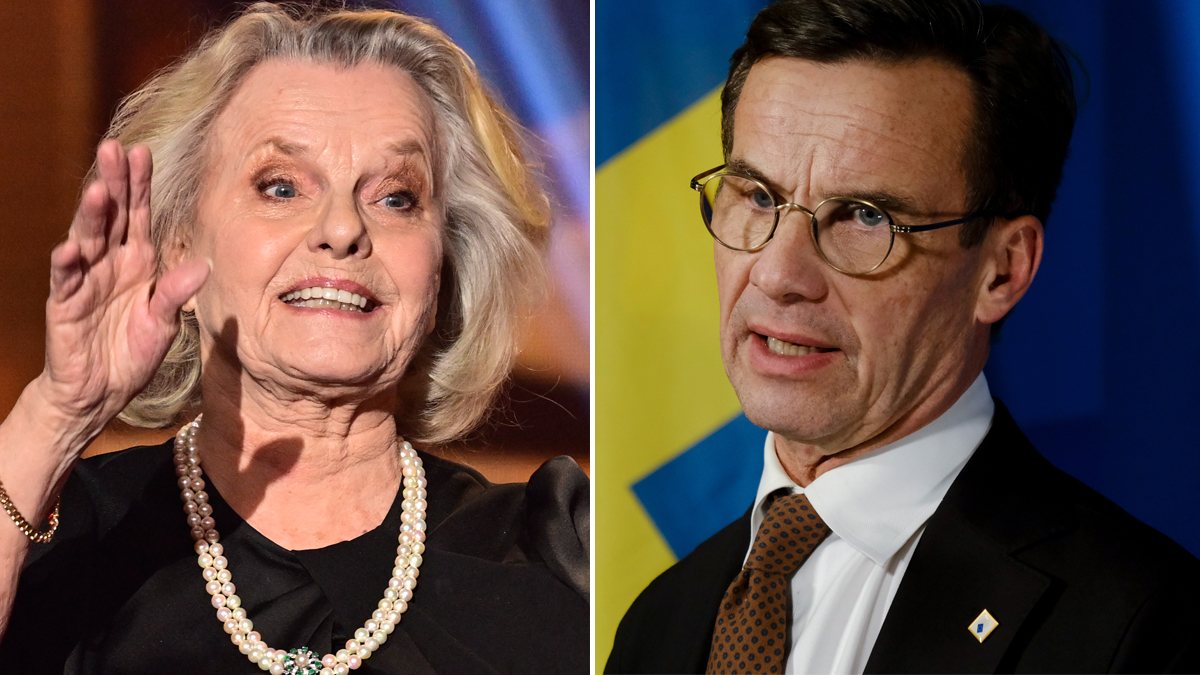 Marie Göranzon är inte nöjd med landets politiker