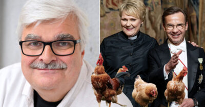 Håkan Juholt om hönshuset på Harpsund. Birgitta Ed och Ulf Kristersson till höger. Foto: Jessica Gow/TT & Christine Olsson/TT & Shutterstock (montage)