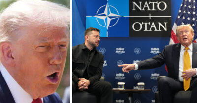 Donald Trump och Volodymyr Zelenskyj