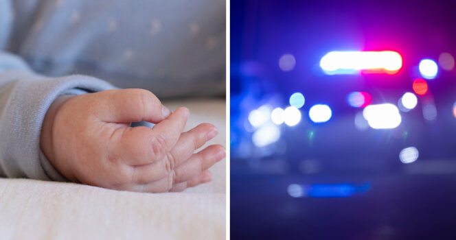 Bebishand, polissiren. Genrebild.