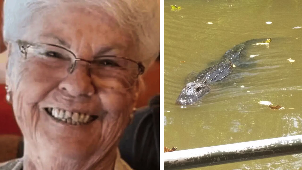 Gloria Serge, alligator