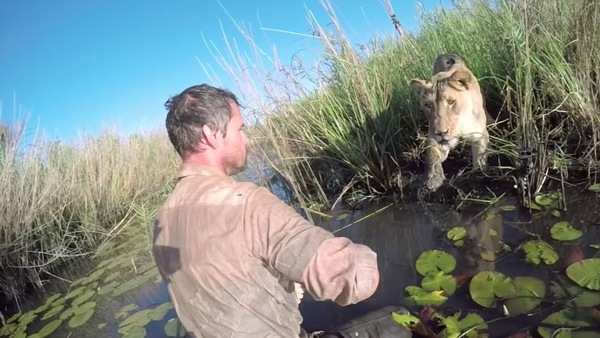 Kevin Richardson z uratowanym lwem