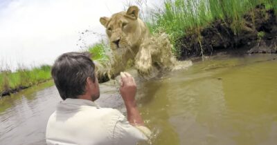 Kevin Richardson w rzece z lwem