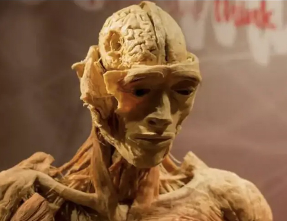 eksponat muzealny Myśliciel