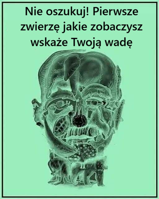 ilustracja twarzy, która składa się ze zwierząt