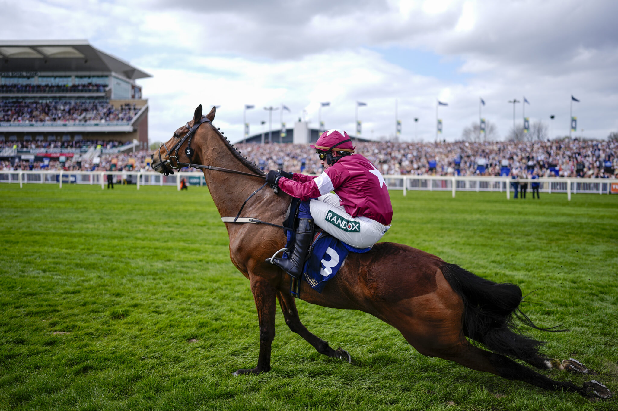 10 KWIETNIA: Paul Townend na koniu Gold Dancer 