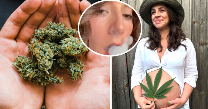 marihuana na dłoniach (po lewej) kobieta w ciąży z liściem marihuany (po prawej)