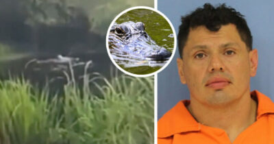 bagna, aligator i Victor Rivas