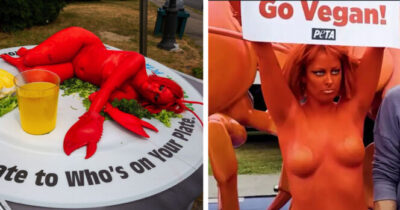 protest organizacji PETA na Maine Lobster Festival