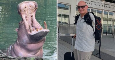 Virtahepo ja mies. Kuvat Shutterstock ja Instagram