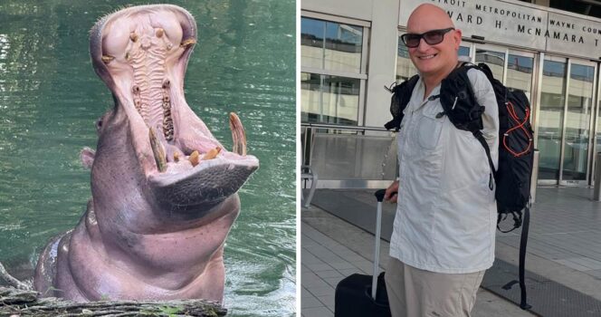 Virtahepo ja mies. Kuvat Shutterstock ja Instagram