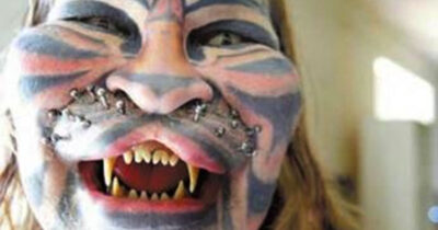 Stalking Cat eli Dennis Avner.
