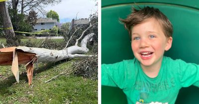 Oksa puistossa. Ronan Kerr. Kuvat: Go Fund Me