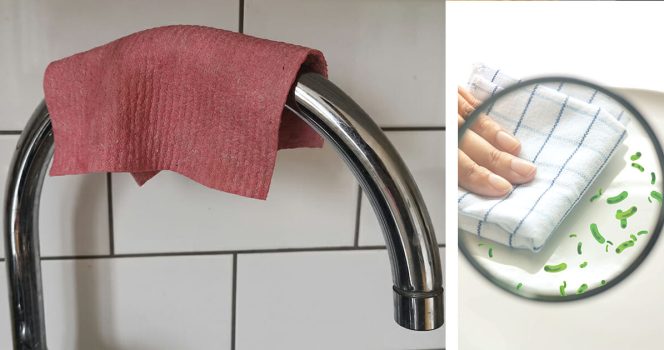 Väärin säilytetty rätti voi olla yksi kodin pahimmista bakteeripesistä.