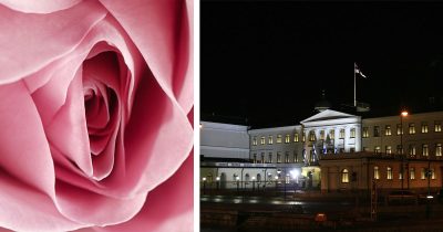 Ruusu ja kuva presidentin linnasta.