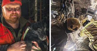 Jarru-koira pelastettiin Liperissä sen oltua yli 50 tuntia jumissa kallion kolossa.