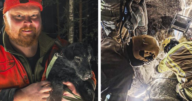 Jarru-koira pelastettiin Liperissä sen oltua yli 50 tuntia jumissa kallion kolossa.