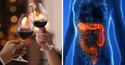 Viinilasit, suolisto. Kuvat: Shutterstock