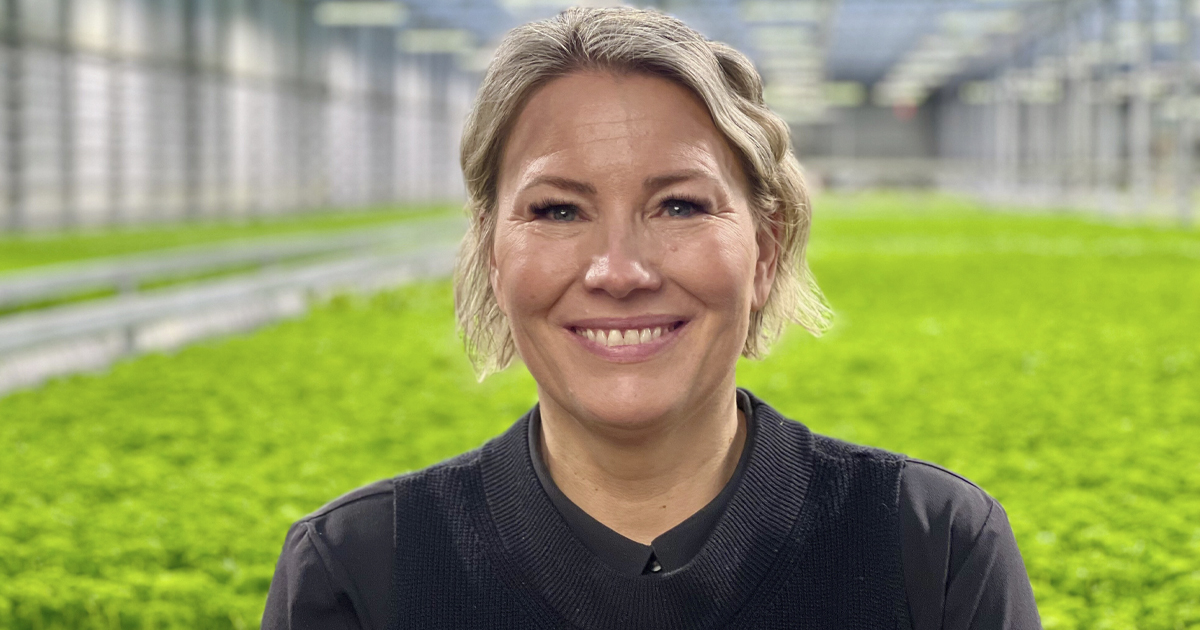 Jetalla on 16-vuotiaat kaksoset, jotka ovat pian lentämässä pesästä.