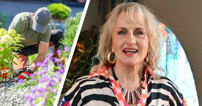 Ami Aspelund, puutarhuri. Kuvat AOP ja Shutterstock