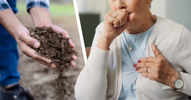 Legionella kuvituskuvat. Kuvat: Shutterstock