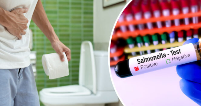 THL selvittää eri puolilla Suomea todettujen salmonella tartuntojen lähdettä.