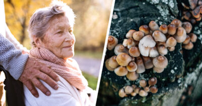 Alzheimer. Iäkäs nainen, sieniä. Kuvat: Shutterstock