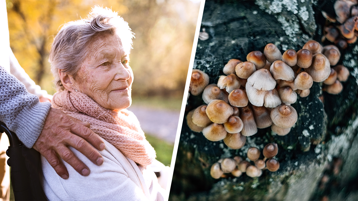 Alzheimer. Iäkäs nainen, sieniä. Kuvat: Shutterstock