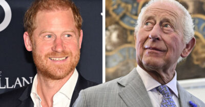 Ystävän mukaan Harry oli iloinen tavattuaan kuningas Charlesin.