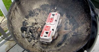 Tenn grillen med eggkartong.