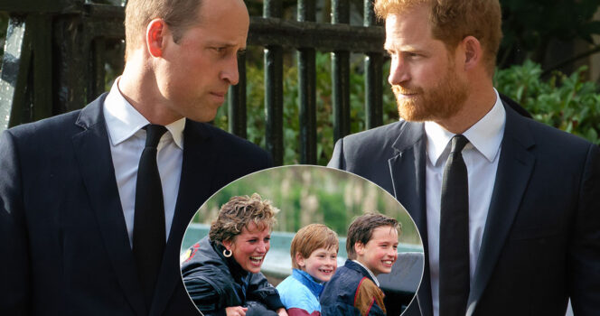 Prinsesse Diana, prins William og Harry