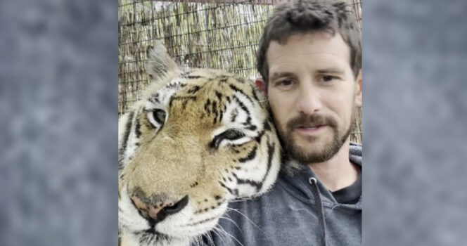 Tiger.