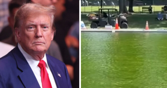 Donald Trump og bassenget.
