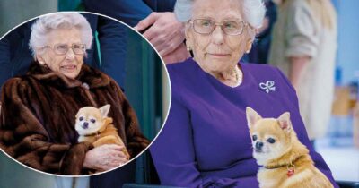 Prinsesse Astrid hunden Wilma